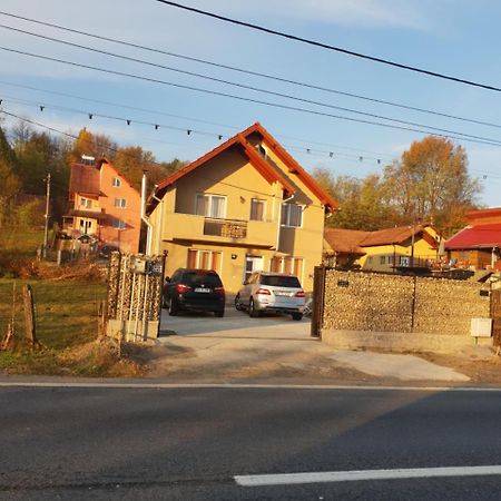 Steluta Villa Călimăneşti Kültér fotó