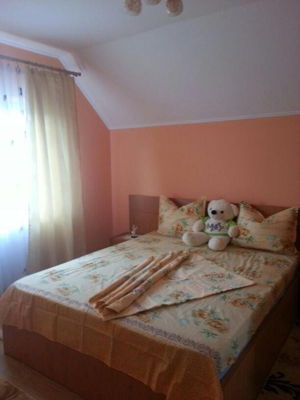 Steluta Villa Călimăneşti Kültér fotó