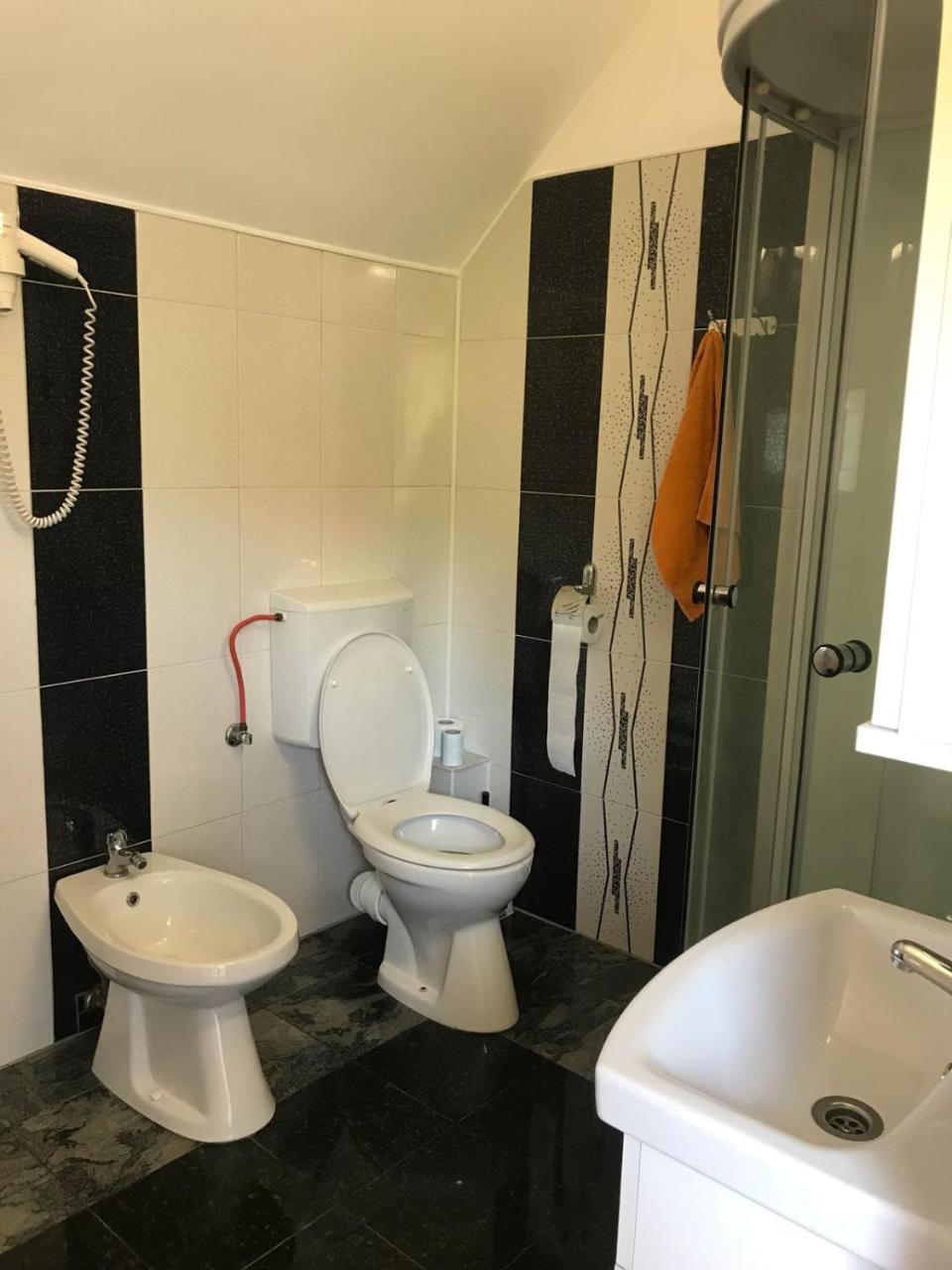 Steluta Villa Călimăneşti Kültér fotó