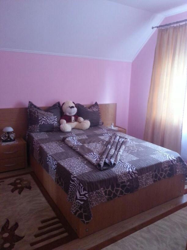 Steluta Villa Călimăneşti Kültér fotó